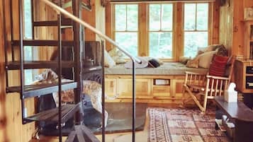 TV, fireplace, DVD player, books