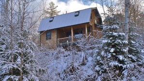 Een houten chalet met een veranda, omringd door sneeuwbedekte bomen.
