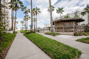 A pathway lined with palm trees and a building with a curved roof.