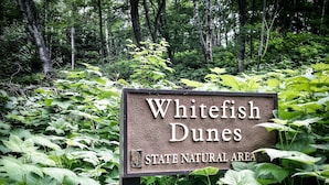 Un panneau indiquant la zone naturelle protégée de Whitefish Dunes, entouré d’une végétation luxuriante.