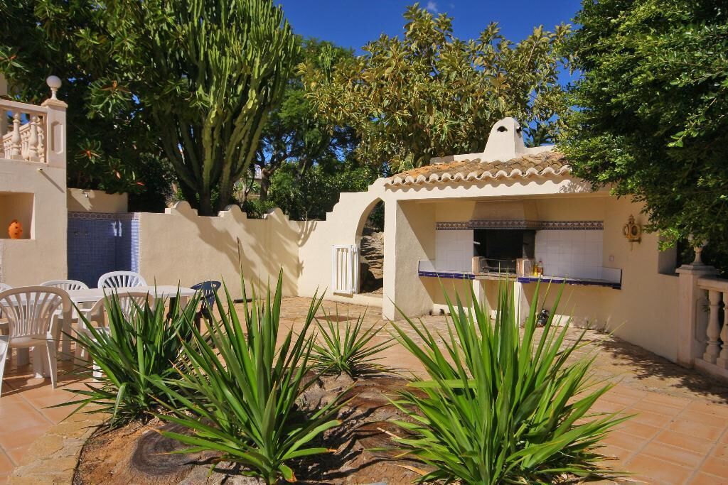 A patio area with outdoor seating, a small kitchen area, and a large tree providing shade.