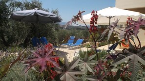 Terassi/patio