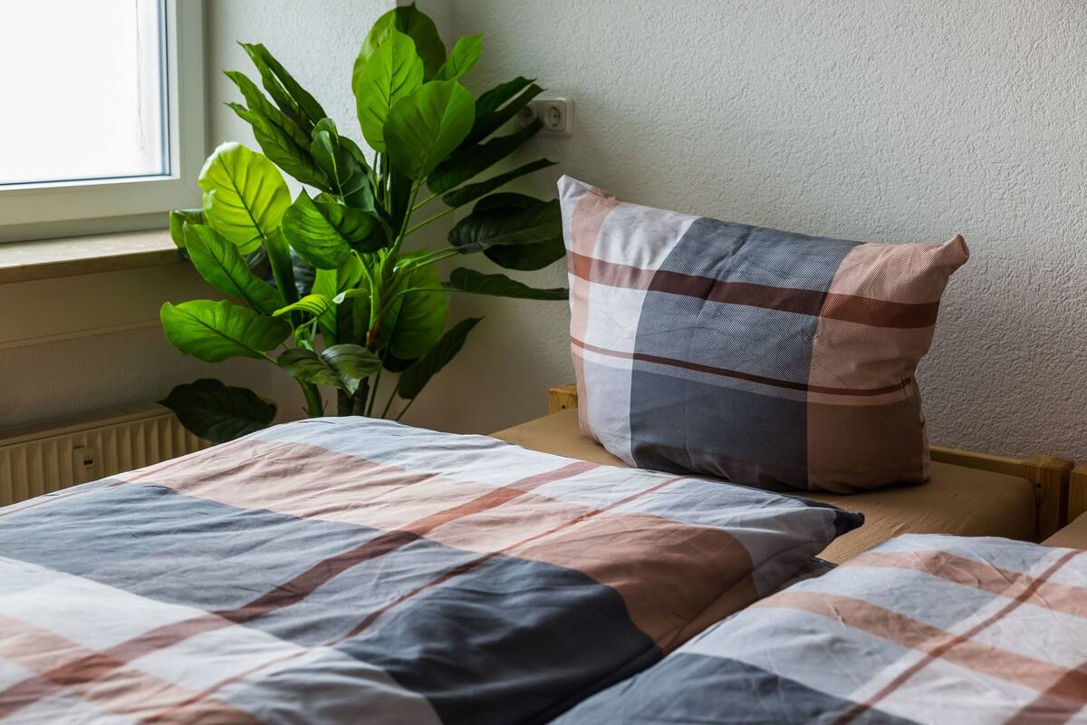 A bed with a checkered bedspread, a pillow, and a potted plant by a window.