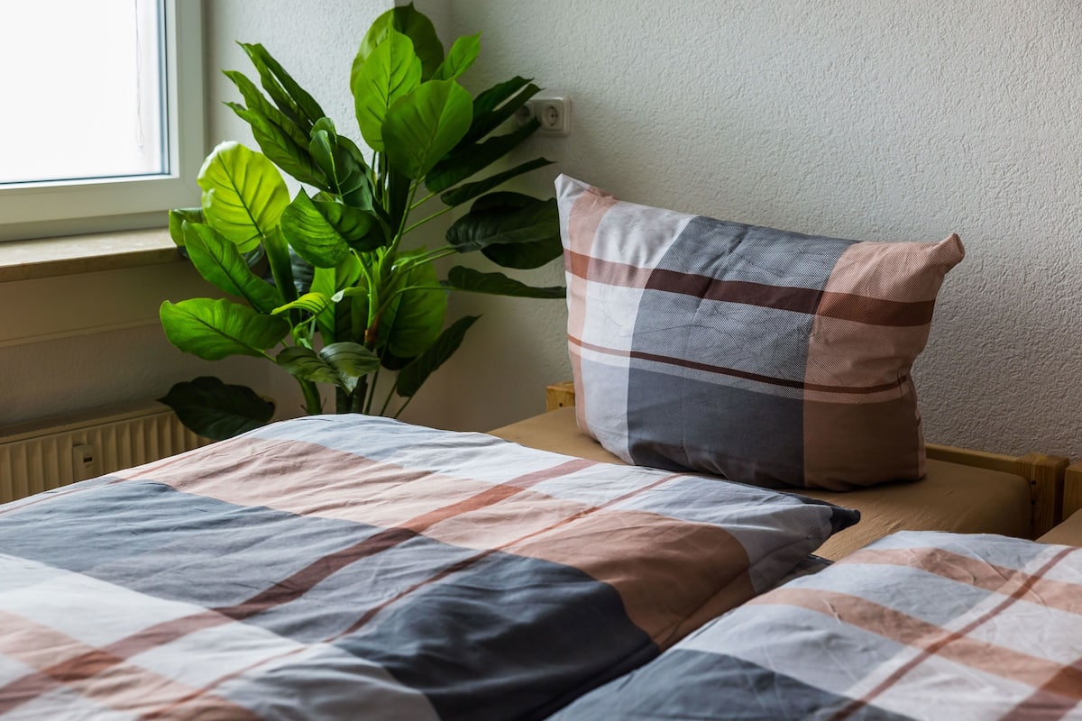 Desk, soundproofing, free WiFi, bed sheets