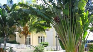 A residential area with a white fence, palm trees, and a building with a light-colored facade. -  A Villa in an idyllic setting, unparalleled service at a cool price (Flic en Flac)