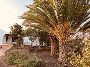 Property grounds - Country Villa overlooking ocean with WI-FI. (Tias)