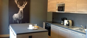Ferienwohnung - Chatel