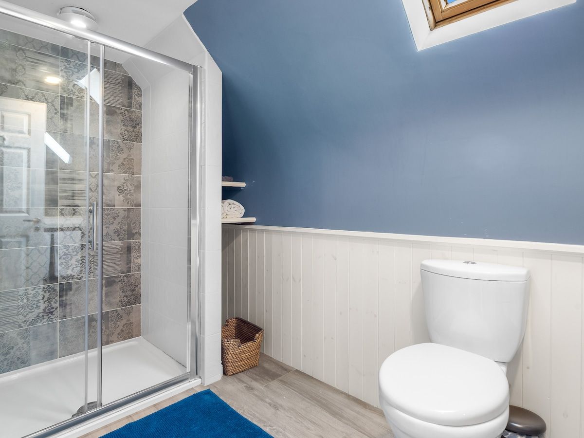 Ein Badezimmer mit Dusche, Toilette und einer blauen Wand.