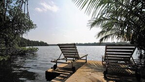 View from property - Mangrove Villa (Matugama)