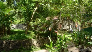 A lush garden with a stone wall, various plants, and a building with a tiled roof in the background. - Jungle house (Unawatuna)