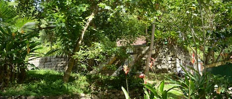 Un exuberante jardín con un muro de piedra, diversas plantas y un edificio con tejado de baldosas al fondo.
