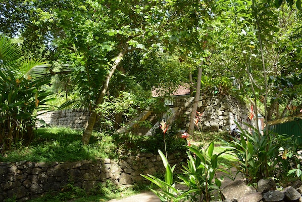 Economy House, Garden View | Balcony