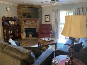 Smart TV, fireplace, DVD player, books