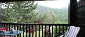 Triplex Cozy 6 Guests - South-West Balcony, Near Ski Shuttle, Quiet Area