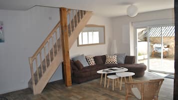 Télévision, cheminée, lecteur de DVD, livres