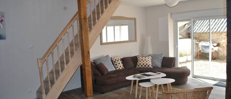 Télévision, cheminée, lecteur de DVD, livres