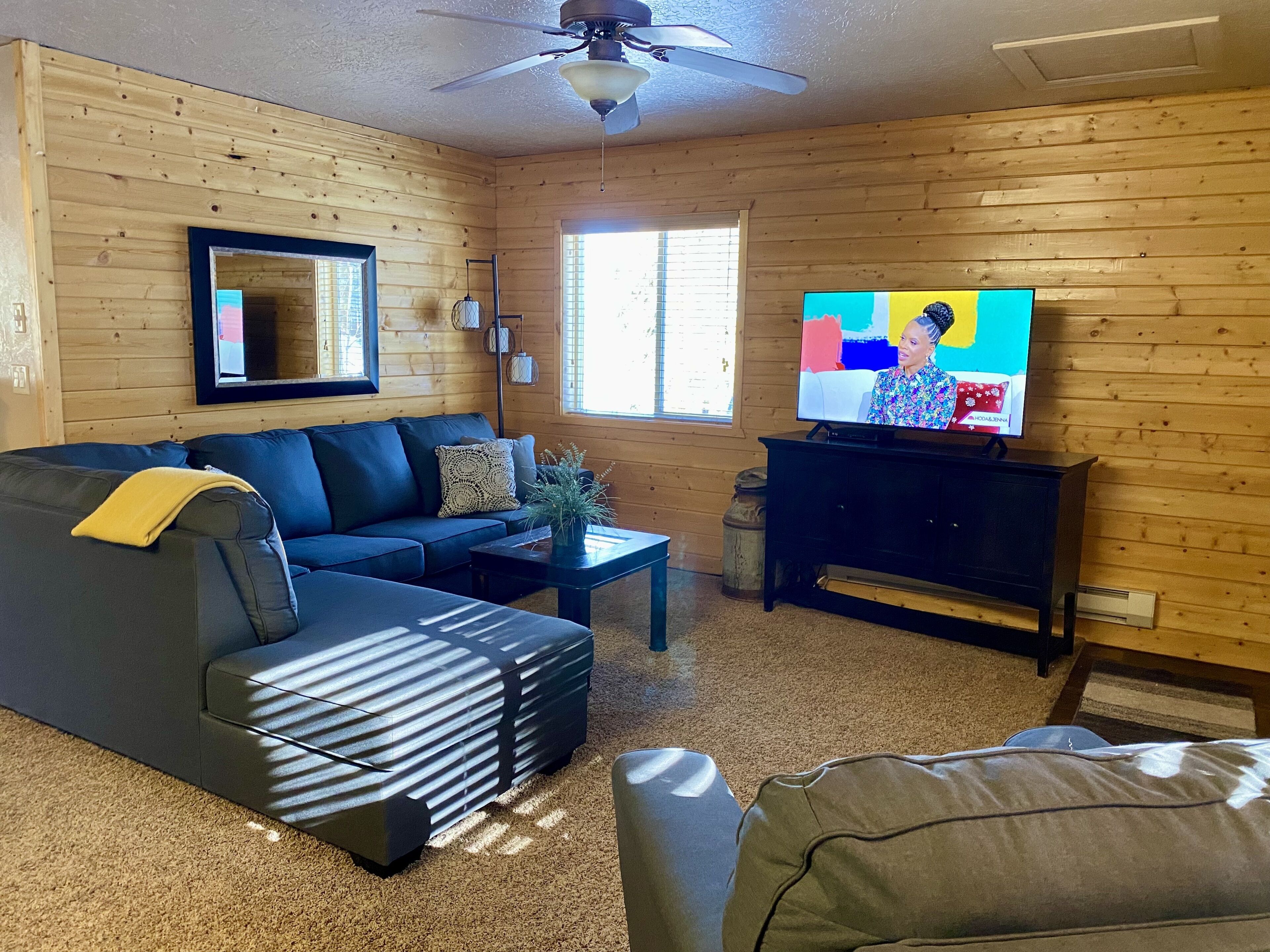 Télévision, lecteur de DVD