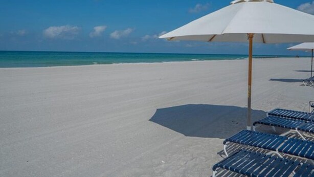Ein Strand mit weißen Sonnenschirmen und blauen Liegestühlen.