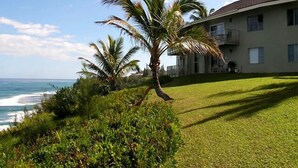 A beachfront property with a well-maintained lawn, palm trees, and a building with multiple balconies overlooking the ocean.