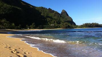 沙滩椅、沙滩毛巾