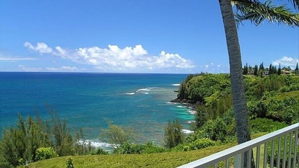 A coastal view with a clear sky, a palm tree, and a railing.