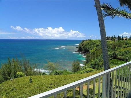 A coastal view with a clear sky, a palm tree, and a railing.