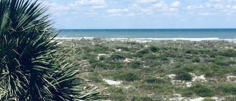 On the beach, sun-loungers, beach towels