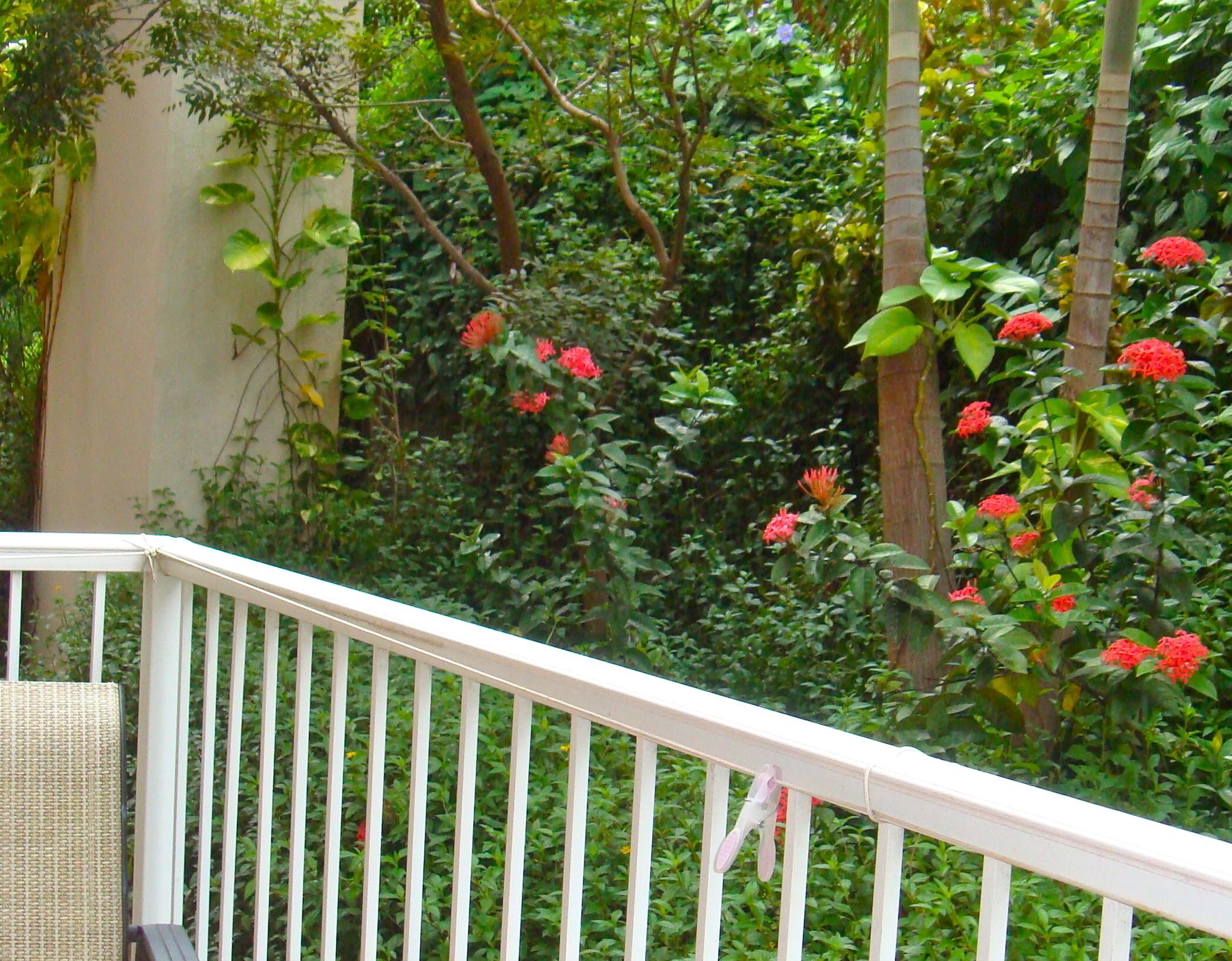 A balcony with a white railing, surrounded by lush greenery and red flowers.