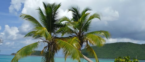 Sulla spiaggia, lettini da mare