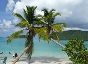 A beach with clear turquoise water, palm trees, and a distant mountain. - Grande Bay SURFSIDE 1 BR Beachfront, WIFI, Great Views! (Cruz Bay)