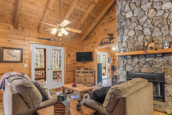 Smart TV, fireplace, DVD player, video library