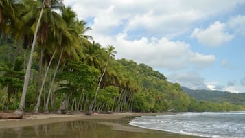 Plage à proximité, chaises longues, serviettes de plage