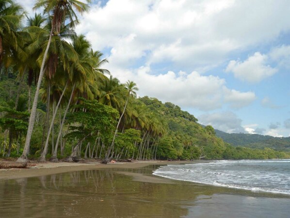 Beach nearby, sun loungers, beach towels