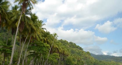 Relax surrounded by Wildlife, Rainforest, Ocean view, Beach Club, Hi speed Wi-Fi
