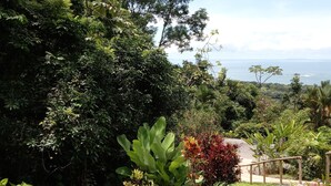 Un jardín exuberante con un sendero que lleva a una terraza de madera con vistas panorámicas.
