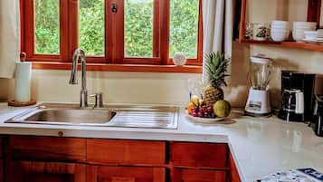 KĂŒhlschrank, Mikrowelle, Ofen, Herdplatte