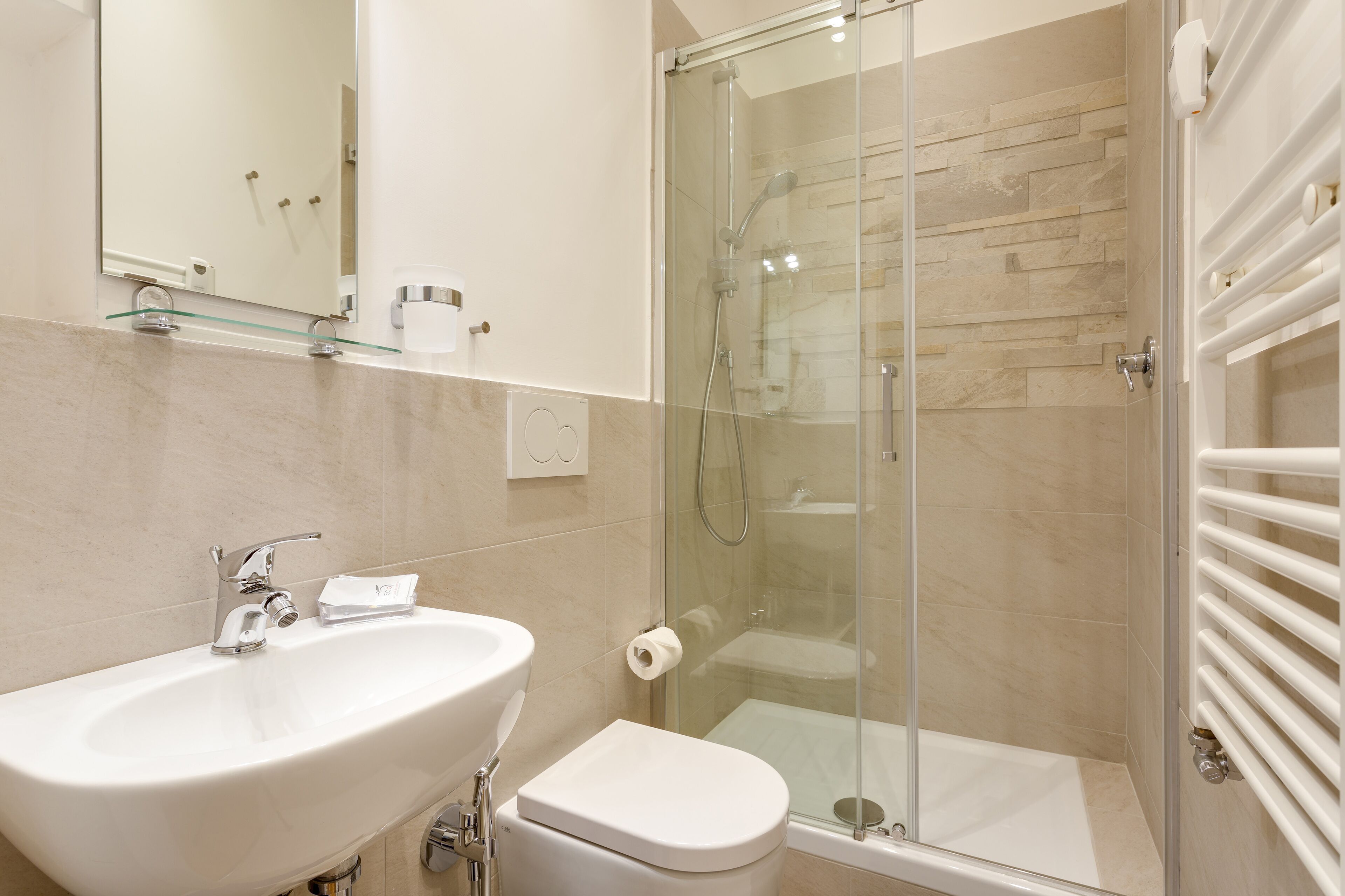 Shower, hair dryer, bidet, towels