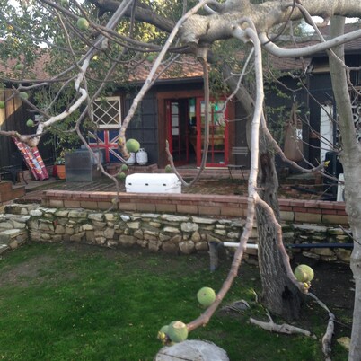 Woodland Hills Cottage