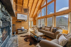 Smart TV, fireplace, DVD player, books