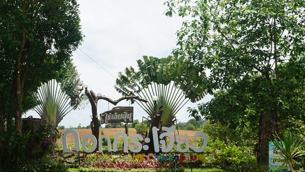 A sign with Thai text in a garden setting.