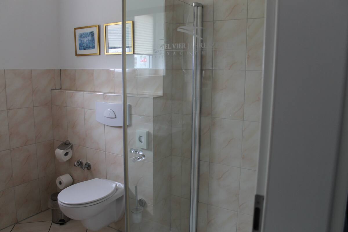 shower, free toiletries, hair dryer, towels