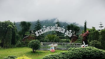 外观细节