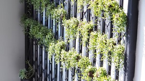 A vertical garden with various plants growing on a black metal fence. - Bloom Boutique Hotel and Cafe (Vientiane)
