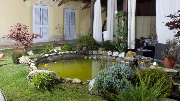 A garden with a pond, potted plants, and a building with doors and windows. - Ostello Villafranca (Pignola)