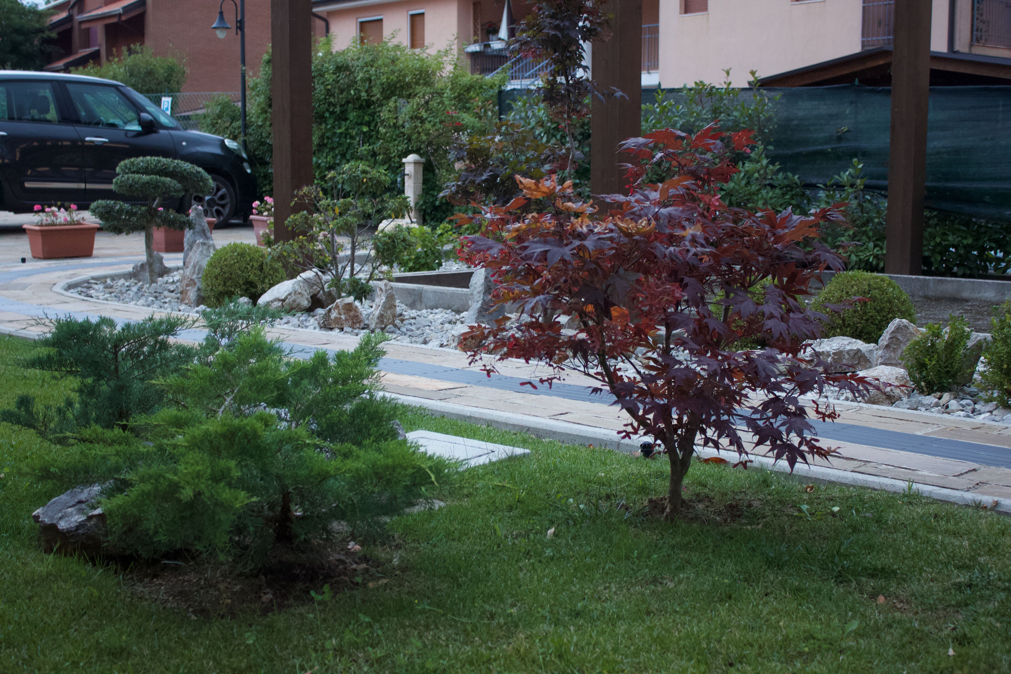 A residential area with a well-maintained garden, a paved driveway, and a parked car.
