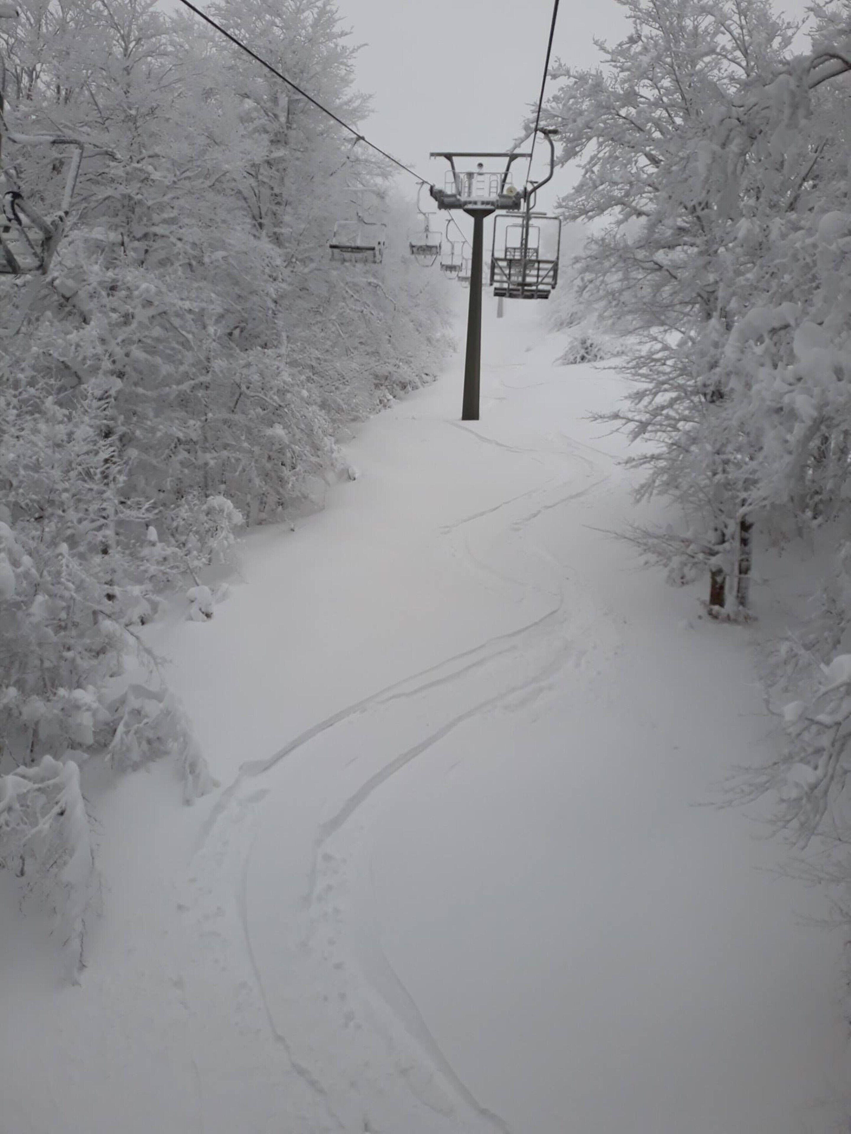 Un télésiège enneigé, avec des pistes qui montent le long d’une pente, entouré d’arbres chargés de neige.