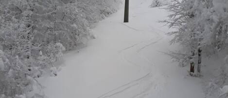 Un télésiège enneigé, avec des pistes qui montent le long d’une pente, entouré d’arbres chargés de neige.