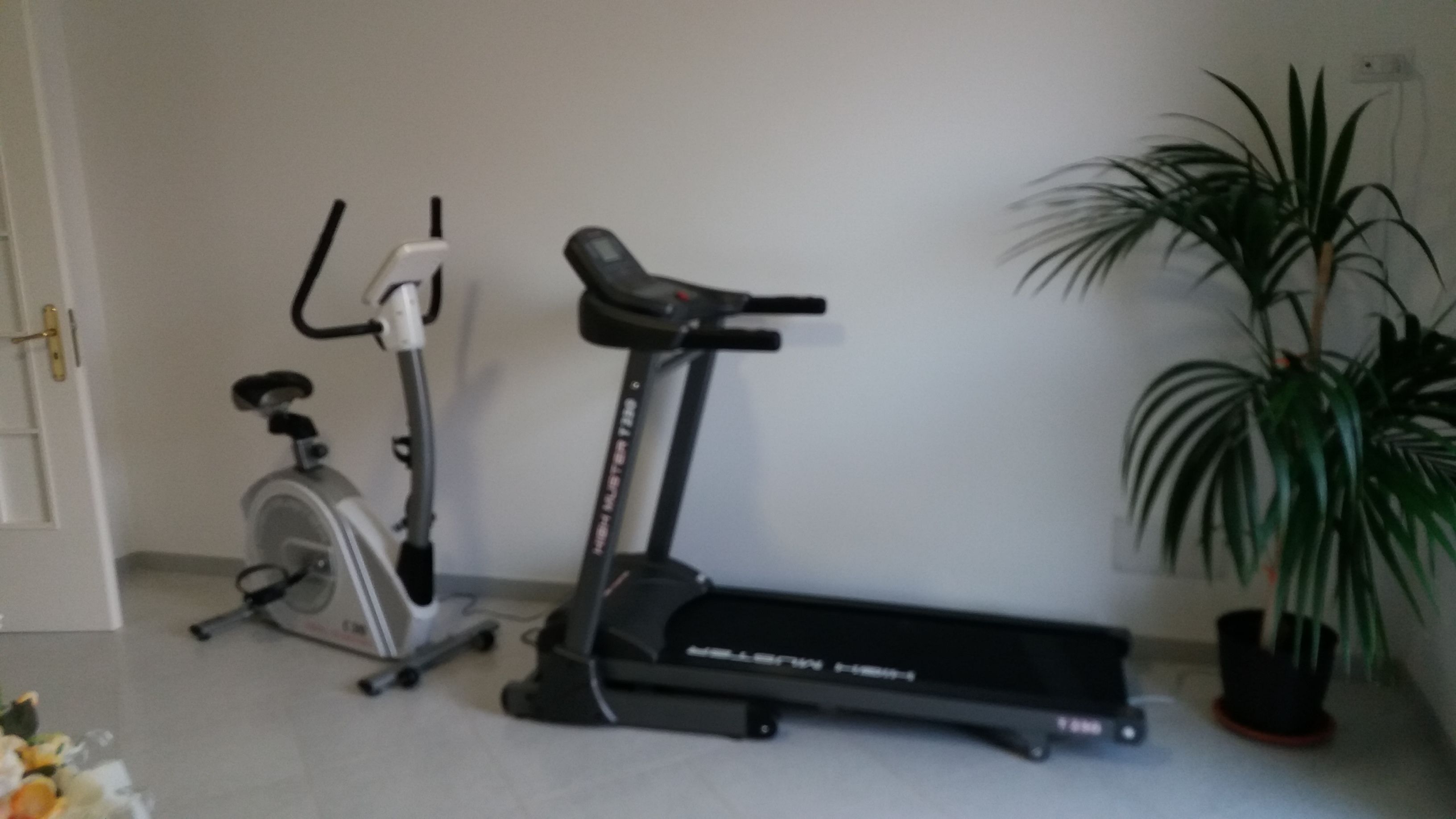 Cyclette e tapis roulant in una stanza con una pianta in vaso.