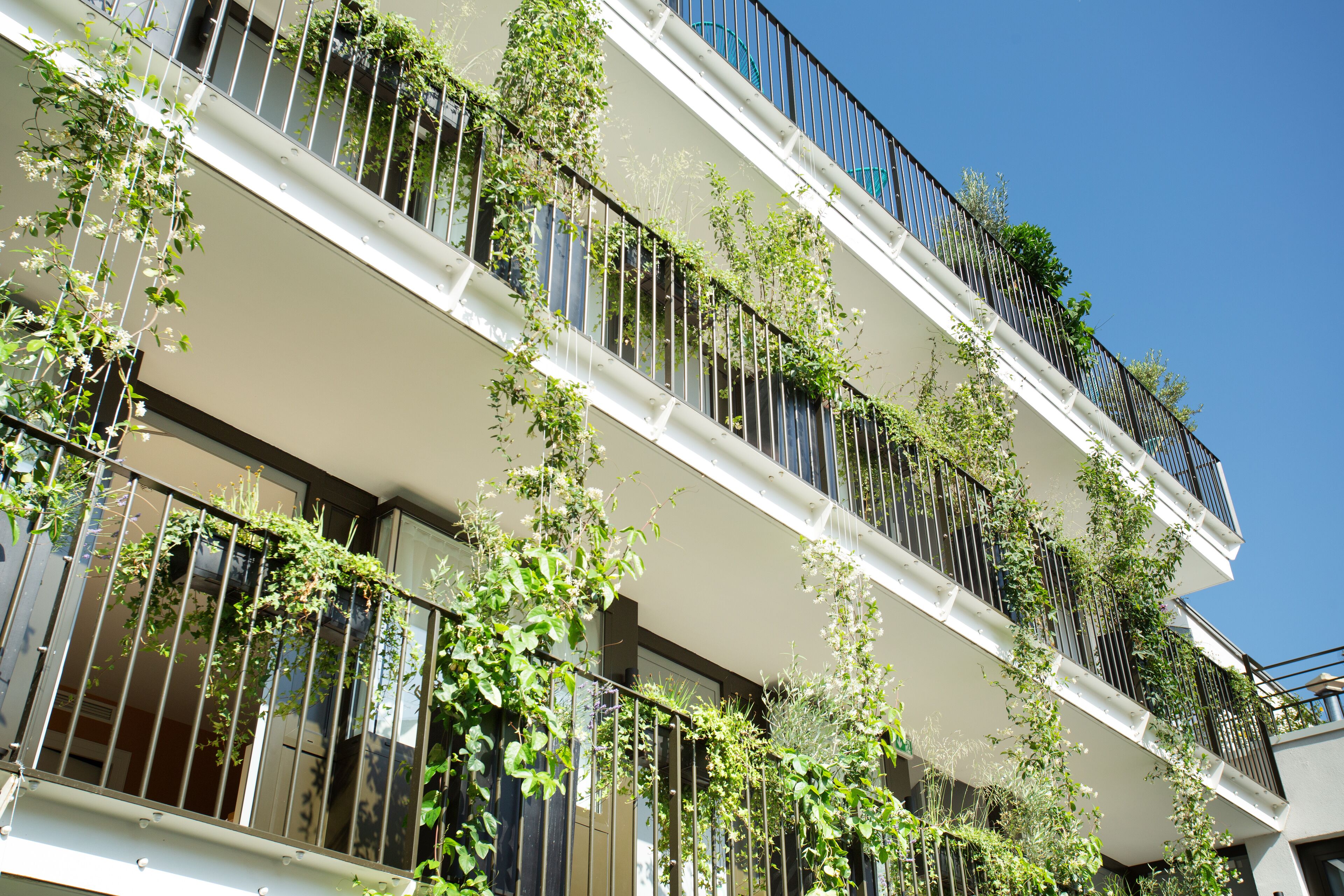 A multi-story building with balconies covered in greenery.
