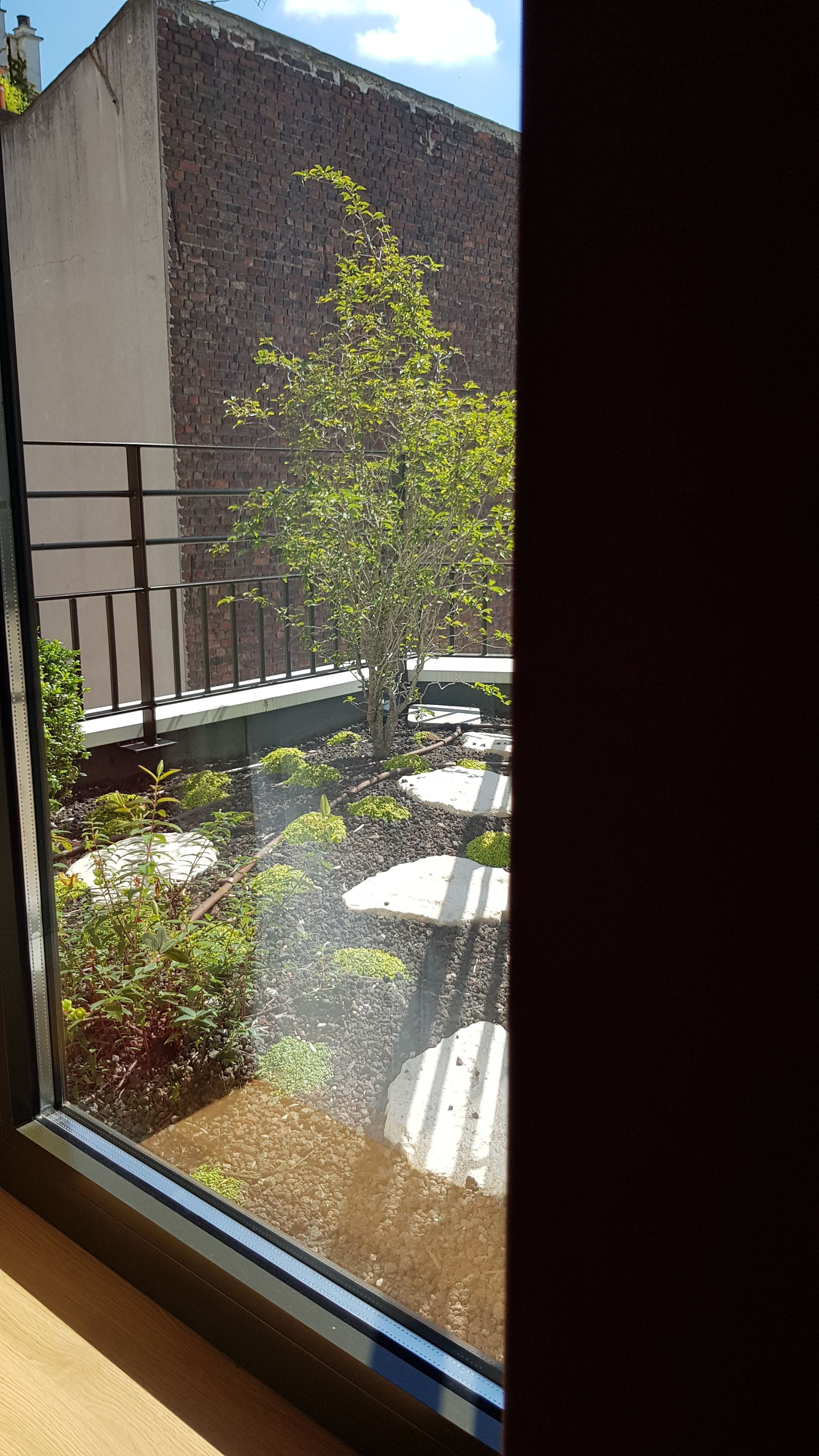 junior suite, garden view | view from room